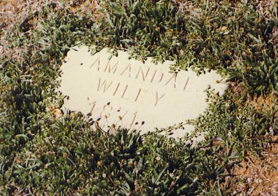 Amanda E. Wiley, Napa, California