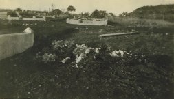 Click to enlarge Lucy Samuels plot at Tulocay