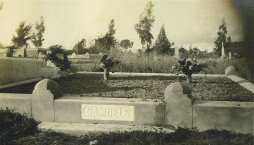 Lucy Samuels plot at Tulocay