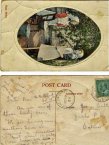 Alice Catt's post card