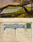 Alice Catt's post card