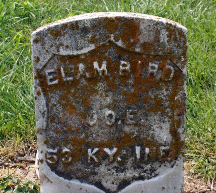 Elam Bird's grave marker