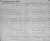 Michigan 1869 Marriages