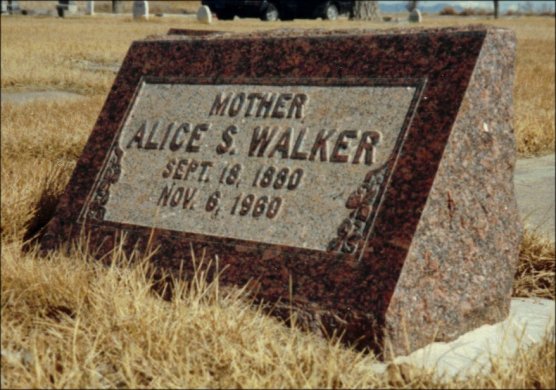 Alice S. Walker