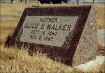 Alice S. Walker