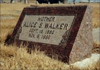 Alice S. Walker
