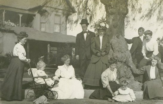 Mary Staheli, Lewis Olson Lawyer,
                       Ida E. Olson, Walter Mitchell Noble, Adeline May Peck, Amy Susan Noble, Donald Keith Olson,
                        Henry John Olson, Marion Noble, Lillian Mae Olson