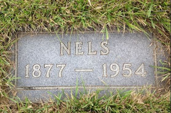 Nels Nelson