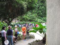 Harrison's Cave, Barbados