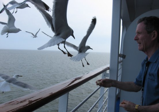 Dan feeds the seagulls